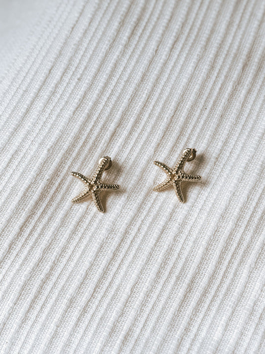 Gold Starfish Studs Simply Korena