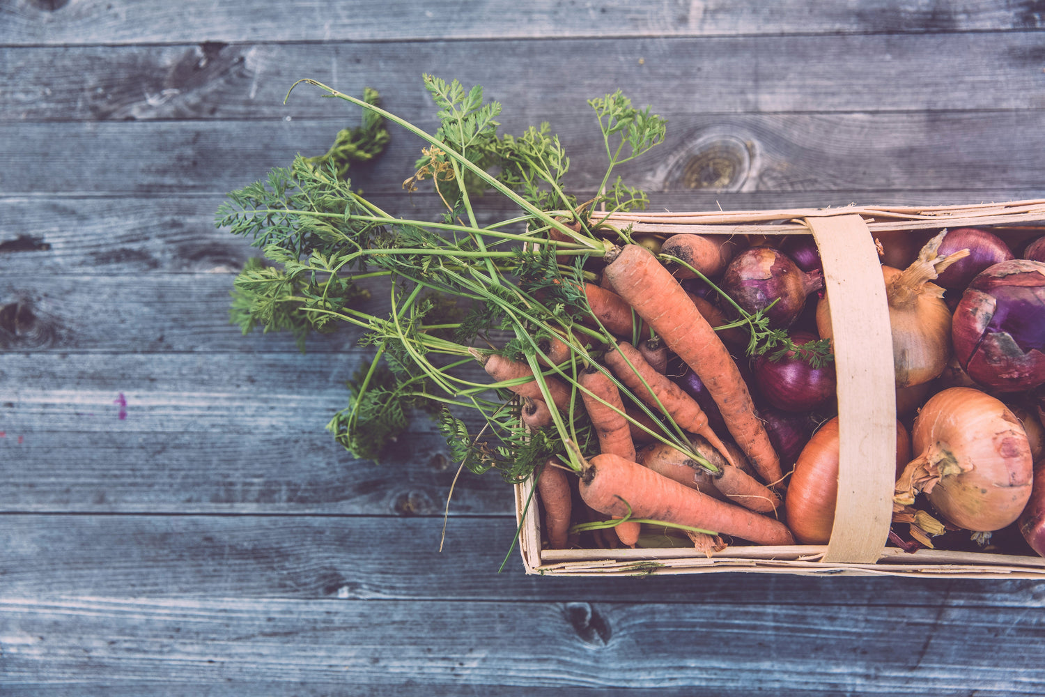 Cultivating-Faith-and-Simplicity-Lessons-from-the-Garden Simply Korena