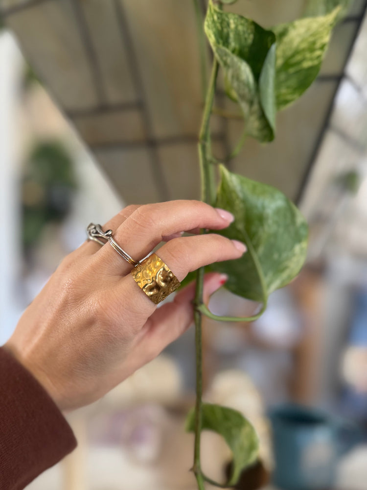 Hand with rings holding a green leafy plant, blurred background