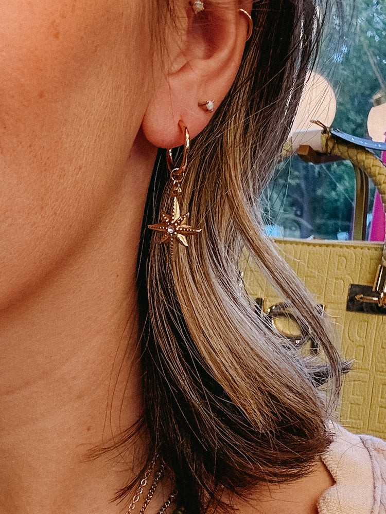 Compass Huggie Earrings