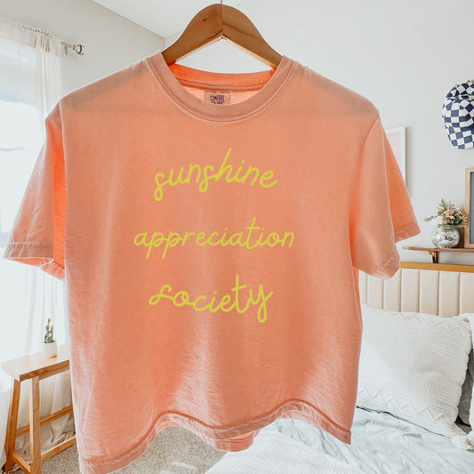 Sunshine Appreciation Society Shirt Sun Lover Gift Summer time tee spring graphic tee perfect shirt for sunny days ahead Printify